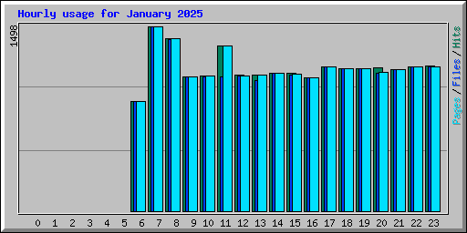 Hourly usage for January 2025