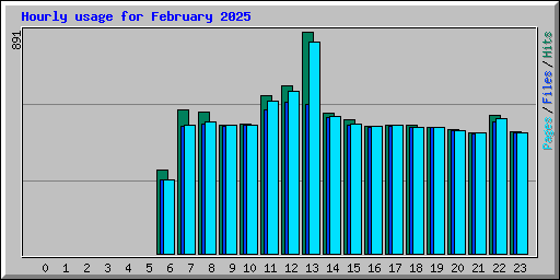 Hourly usage for February 2025