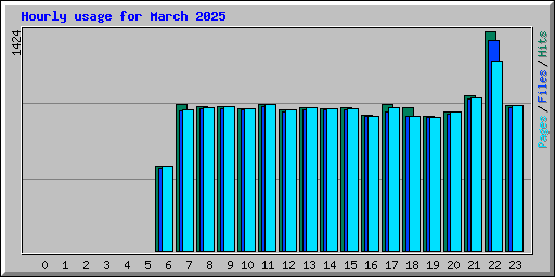 Hourly usage for March 2025