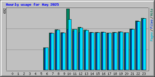Hourly usage for May 2025