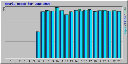 Hourly usage for June 2025