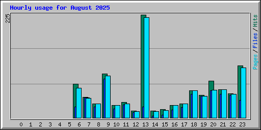 Hourly usage for August 2025
