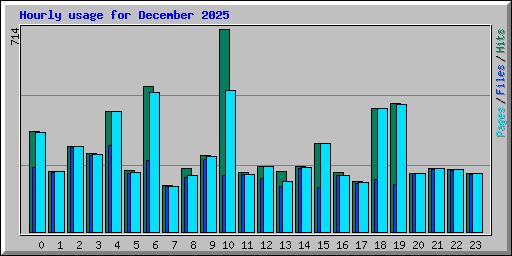 Hourly usage for December 2025